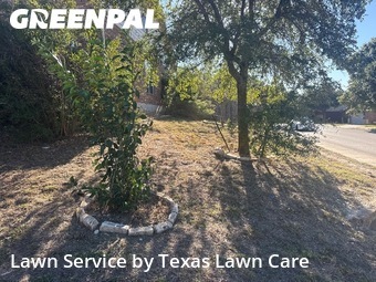 Landscaping Companies In San Antonio,78261,Landscaping Services by Texas Lawn Care, work completed in Nov , 2025