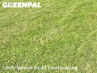 Lawn Cutting nearby Springdale, AR, 