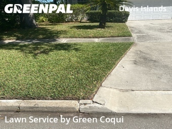 Lawn Service nearby Tampa, FL, 
