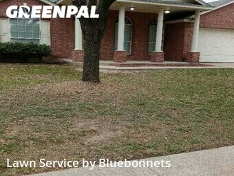 Lawn Mow nearby Round Rock, TX, 
