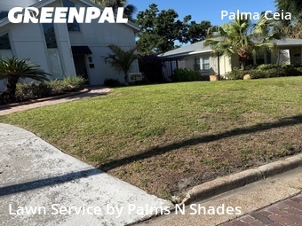 Yard Cutting nearby Tampa, FL, 