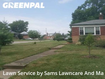 Grass Cutting nearby St. Louis, IL, 