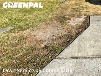 Lawn Mowing Service nearby Bradenton, FL, 