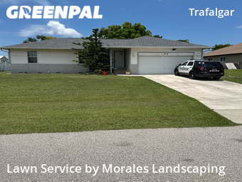 Yard Cutting nearby Cape Coral, FL, 