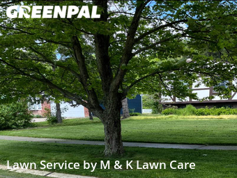 Yard Mowing nearby Olmsted Township, OH, 