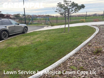 Lawn mowed in Roseville, 95747