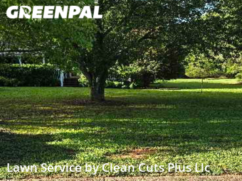Lawn Mowing nearby Athens, GA, 