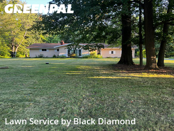 Grass Cutting nearby Fort Wayne, IN, 
