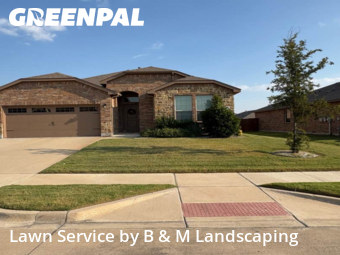 Yard Care in Glenn Heights, 75154, Yard Upkeep by B & M Landscaping, work completed in Nov , 2025