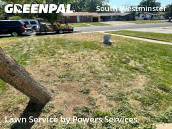Work completed by affordable-lawn-services-in-Westminster-CA
