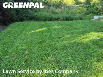 Lawn Mow nearby Downers Grove, IL, 