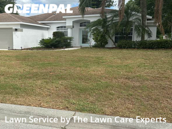 Grass Cutting nearby Lakeland, FL, 