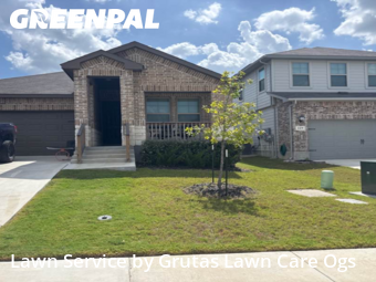 Lawn Mowin Schertz,78108,Yard Cutting by Grutas Lawn Care Ogs, work completed in Nov , 2025