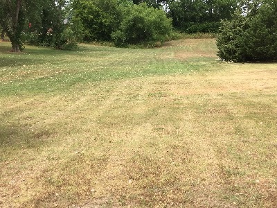 Local Lawn care service near me in Oklahoma City , OK, 73128