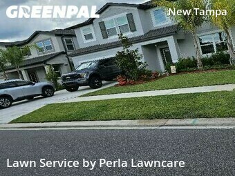 Lawn Maintenance nearby Tampa, FL, 