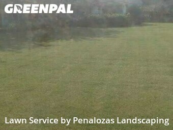 Lawn Care Service nearby Alpharetta, GA, 