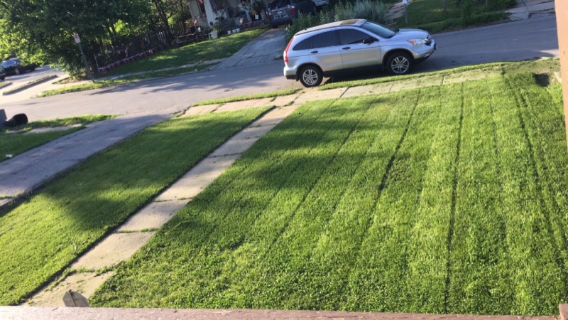 affordable-lawn-services-in-Lower Merion-PA