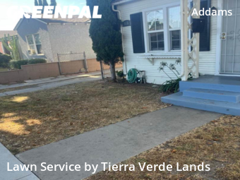 Grass Cut nearby Long Beach, CA, 