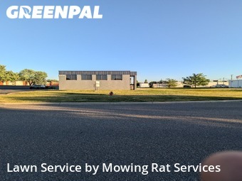 Lawn mowed in Sterling Heights, 48313