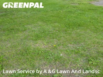 Lawn Cutting nearby Fairfield, OH, 