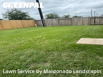 Grass Cutin Rosenberg,77471,Lawn Mow by Maldonado Landscapin, work completed in Nov , 2025