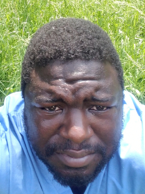 Ro's Lawn Service headshot