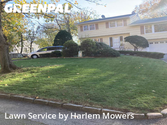 Grass Cut nearby New Rochelle, NY, 