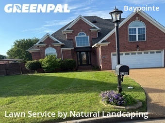 Lawn Mow nearby Nashville, TN, 