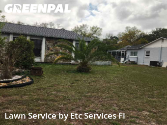 Lawn Upkeep in Bayonet Point, 34668, Yard Upkeep by Etc Services Fl, work completed in Nov , 2025