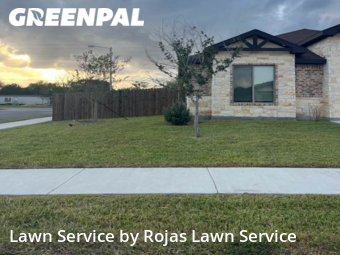Grass Cut nearby Harlingen, TX, 