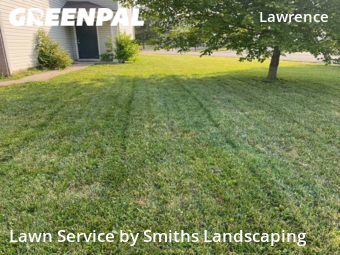 Lawn Mowing nearby Indianapolis, IN, 