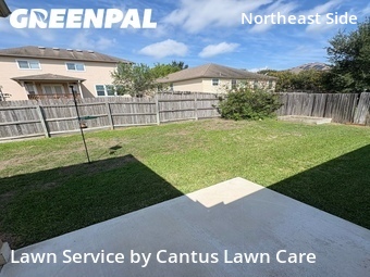 Yard Cutting nearby Converse, TX, 