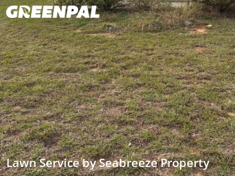 Front Yard Mowing in Milton, 32571, Yard Mowing by Seabreeze Property , work completed in Dec , 2025