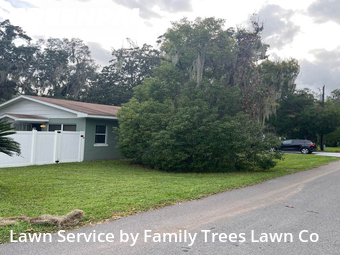 Lawn Cut nearby Leesburg, FL, 