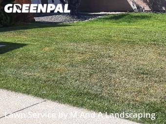 Lawn Mowing Service nearby Antelope, CA, 