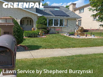 Grass Care in Westmont, 60559, Backyard Mowing by Shepherd Burzynski , work completed in Dec , 2025