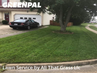 Yard Cutting nearby Virginia Beach, VA, 