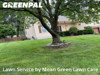 Grass Cutting nearby Lee's Summit, MO, 