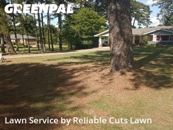 Lawn Care Service nearby Shreveport, LA, 