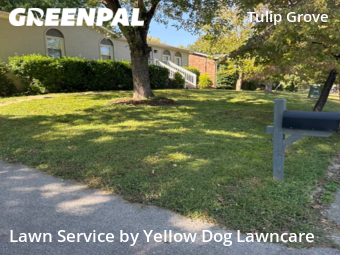 Lawn Cut nearby Nashville, TN, 