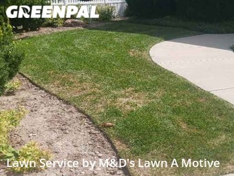 Lawn Cut nearby West Valley City, UT, 