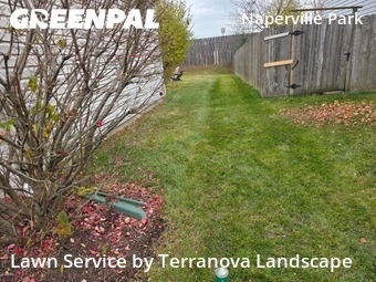 Lawn Maintenancein Naperville,60540,Lawn Cutting by Terranova Landscape, work completed in Dec , 2025