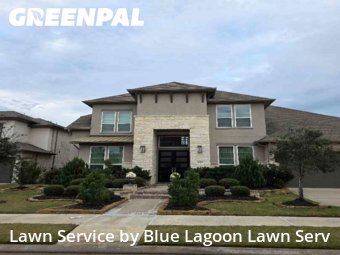 Grass Cuttingin Cypress,77433,Lawn Care by Blue Lagoon Lawn Serv, work completed in Feb , 2026