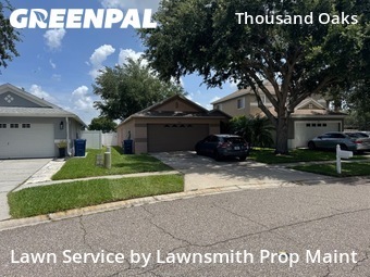 Yard Mowing nearby Trinity, FL, 