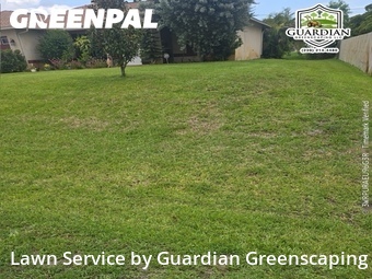 Yard Mowing nearby Fort Myers, FL, 