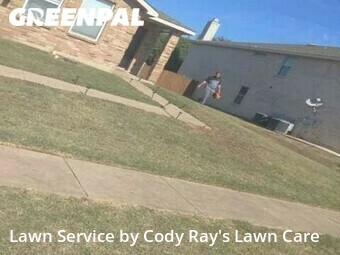 Grass Cut nearby Arlington, TX, 