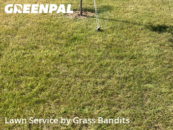 Lawn Service nearby Billings, MT, 