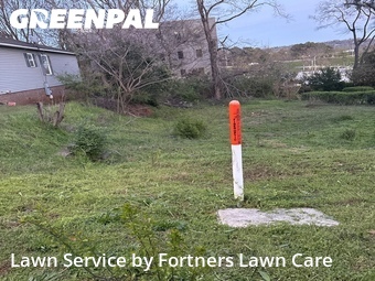 Yard Cutting nearby Birmingham, AL, 