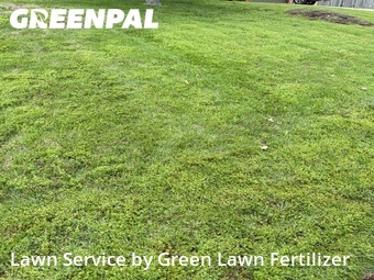 Lawn Maintenance nearby Springfield, MO, 