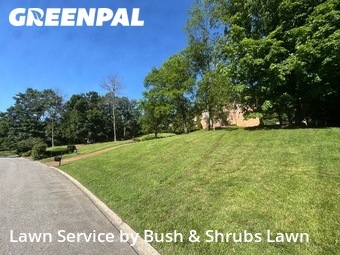 Yard Cuttingin Brentwood,37027,Grass Cutting by Bush & Shrubs Lawn, work completed in Jun , 2026